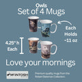 Owls set of 4 Mugs