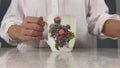 Botanical Flowers Michaelmas Daisy Java Mug | NEW FOR 2024