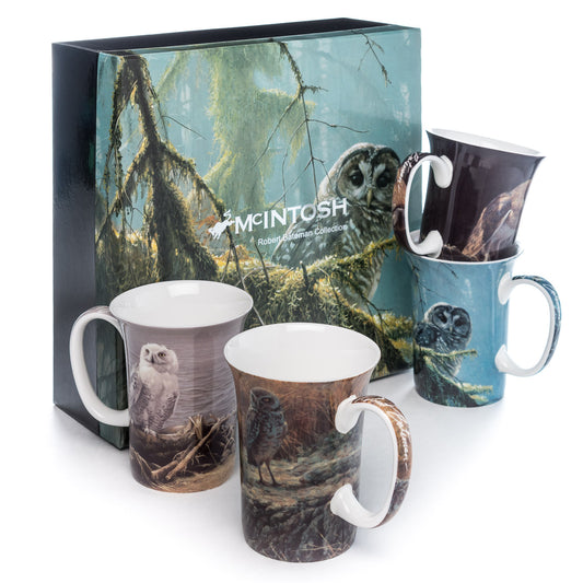 Owls set of 4 Mugs
